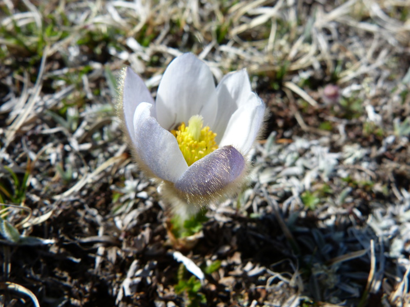 2015-05-08, p025.jpg