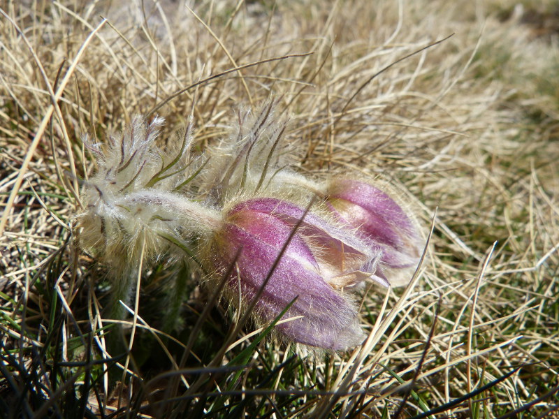 2015-05-08, p073.jpg