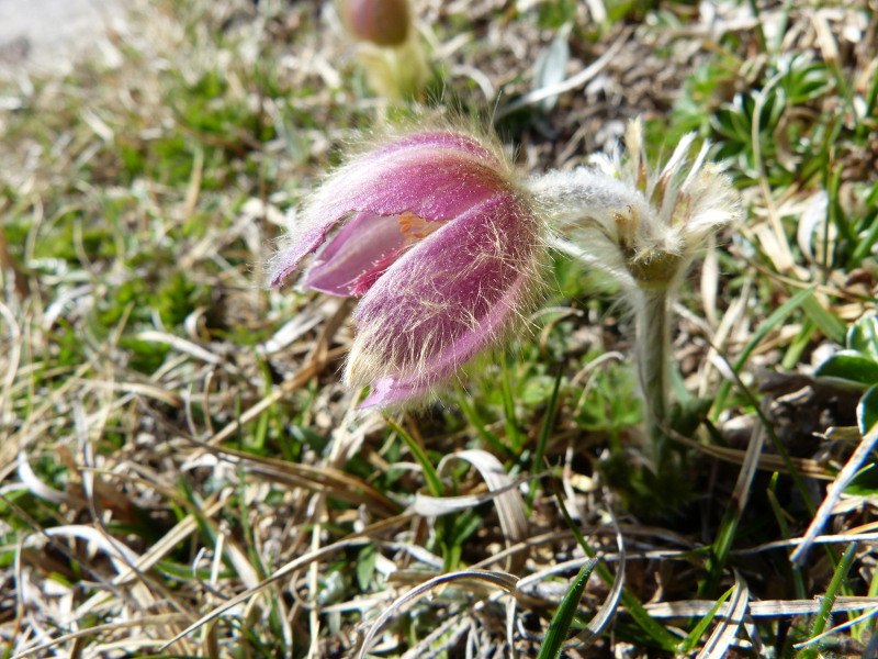 2015-05-08, p019.jpg