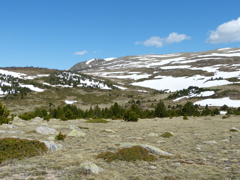 2015-05-08, e020.jpg