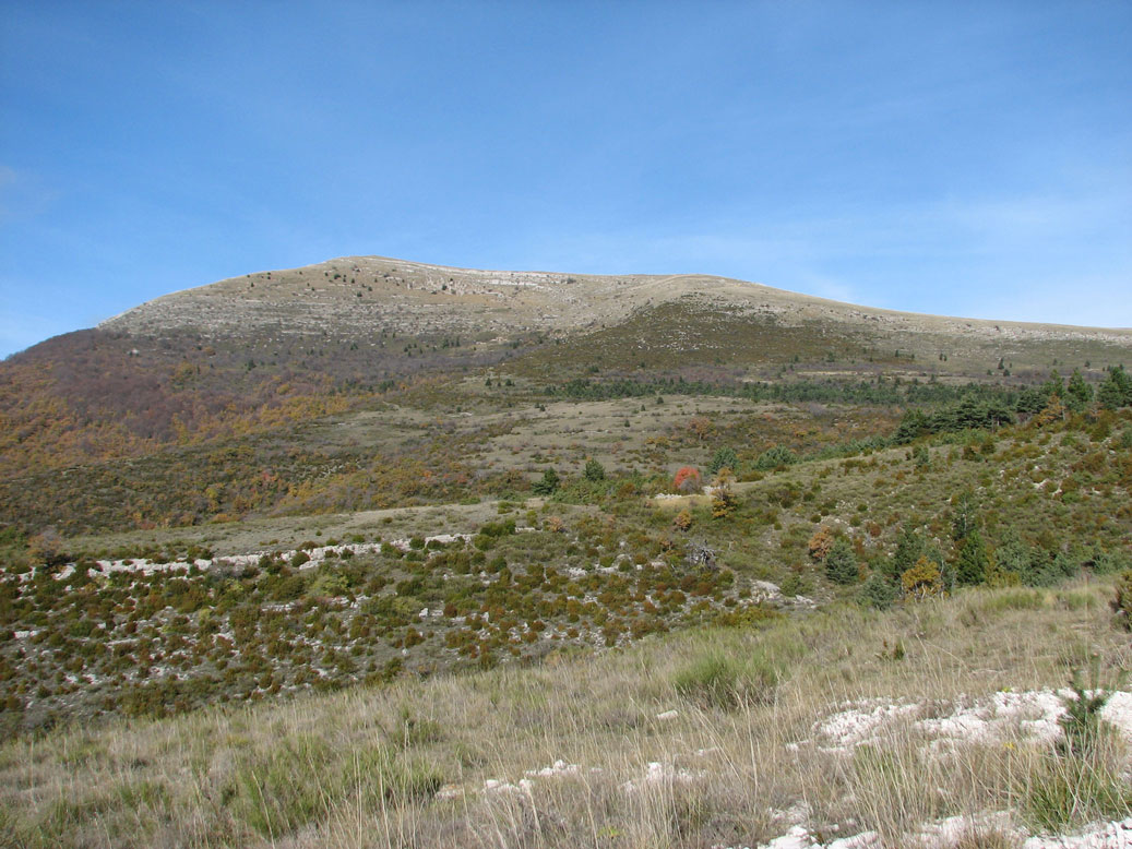 Copie-de-IMG_0047.jpg