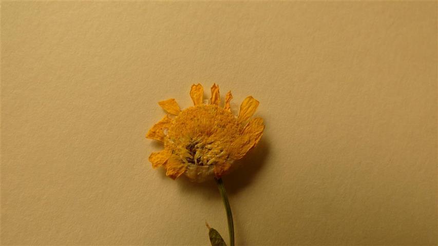 P1010703 (Small).JPG