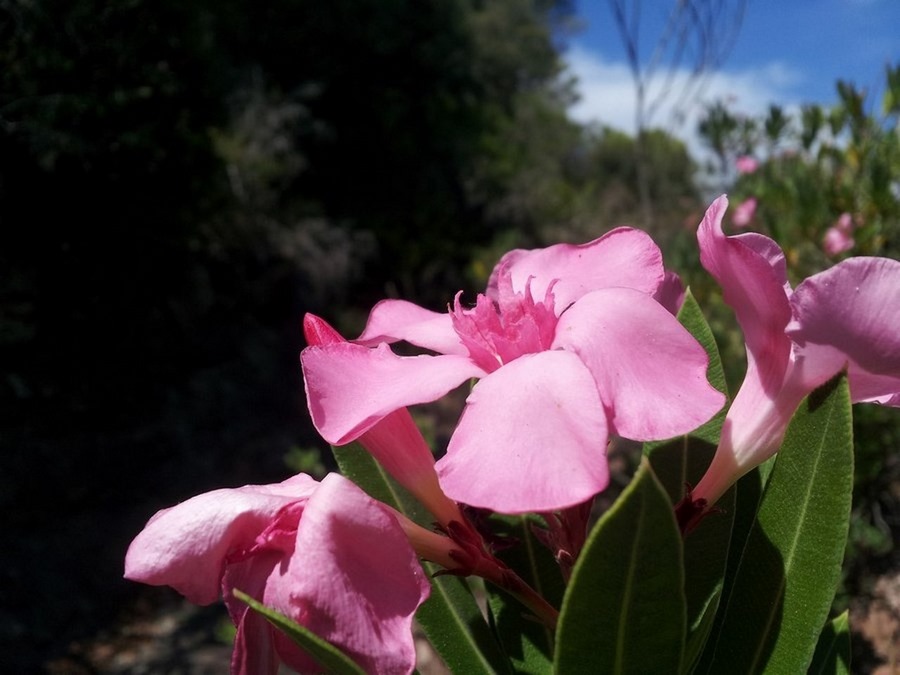 20150725_154133.jpg