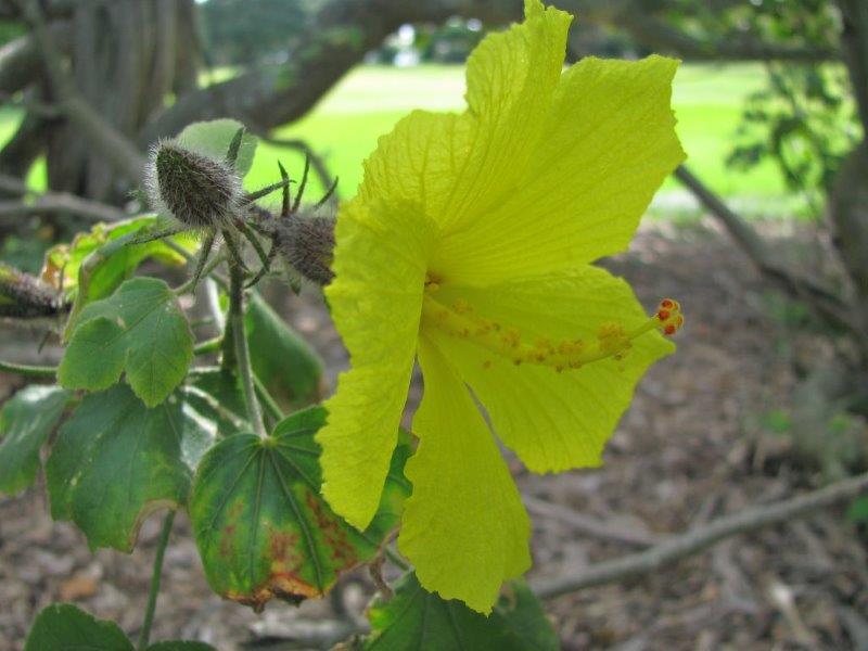 Australie (155).jpg