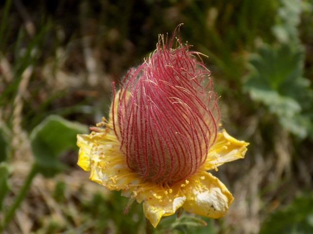 DSCN0911.JPG