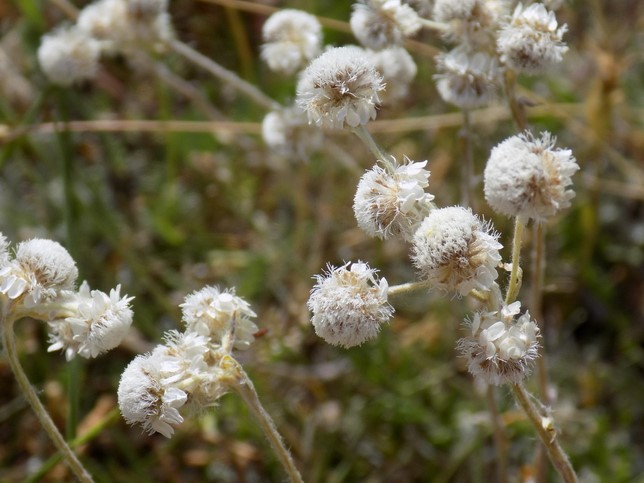 DSCN1290.JPG