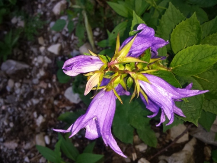 20150802_181411 - Copie.jpg