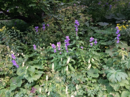 20150802_181907 - Copie.jpg