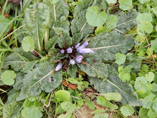 DSCN1474.JPG