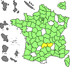 buddleja.png