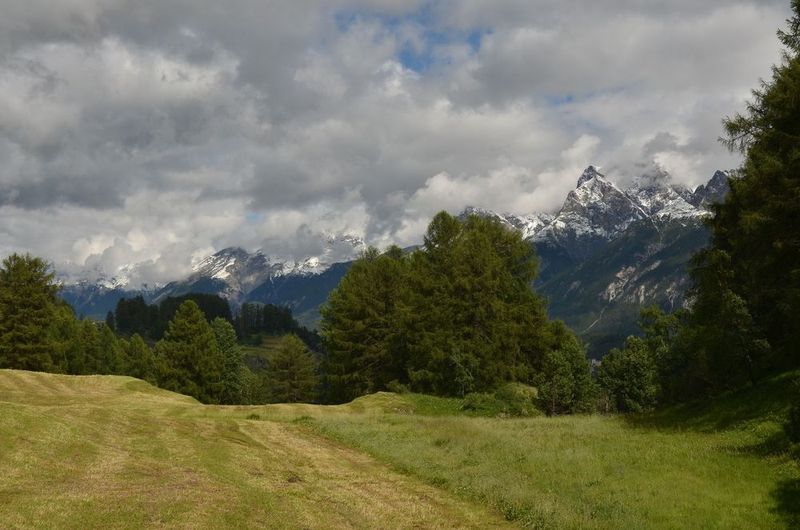 la Suisse alpine.JPG