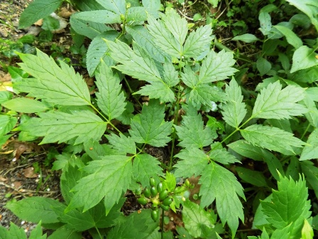 DSCN4039.JPG