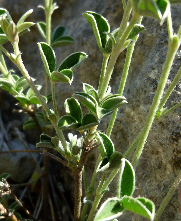 P1140423R7.jpg