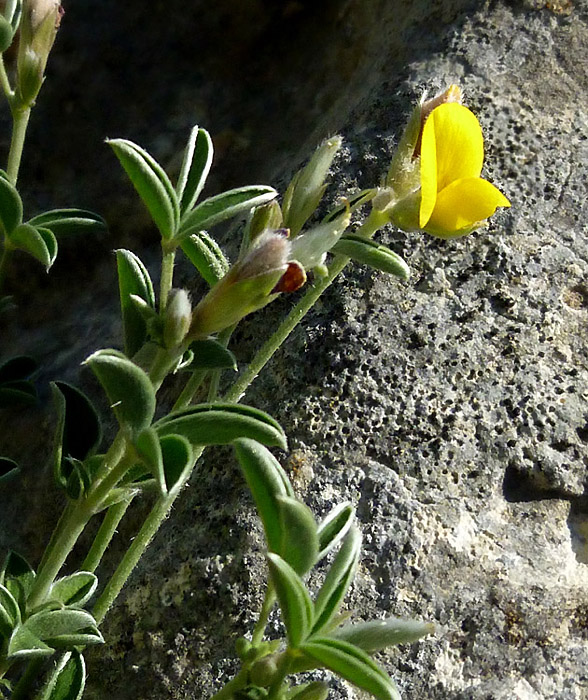 P1140420R7.jpg