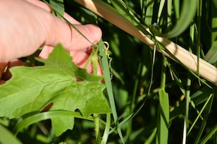 DSC_9049 - copie.jpg