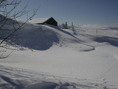 DSCN9772.jpg