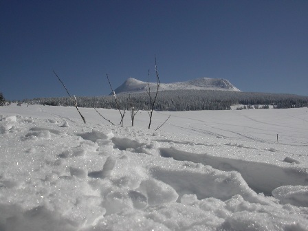 DSCN9795.jpg