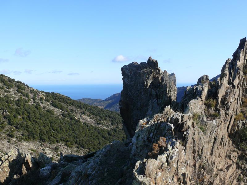 vue d'un peu plus haut.jpg
