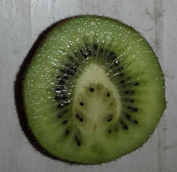 Ledit kiwi