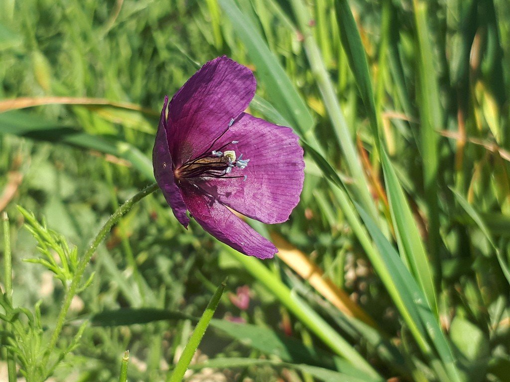 20190524_093957.jpg