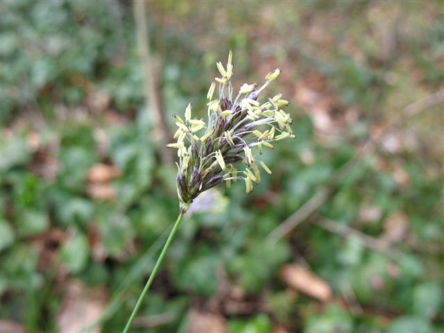 CH-SO-Kleinlützel5426.jpg