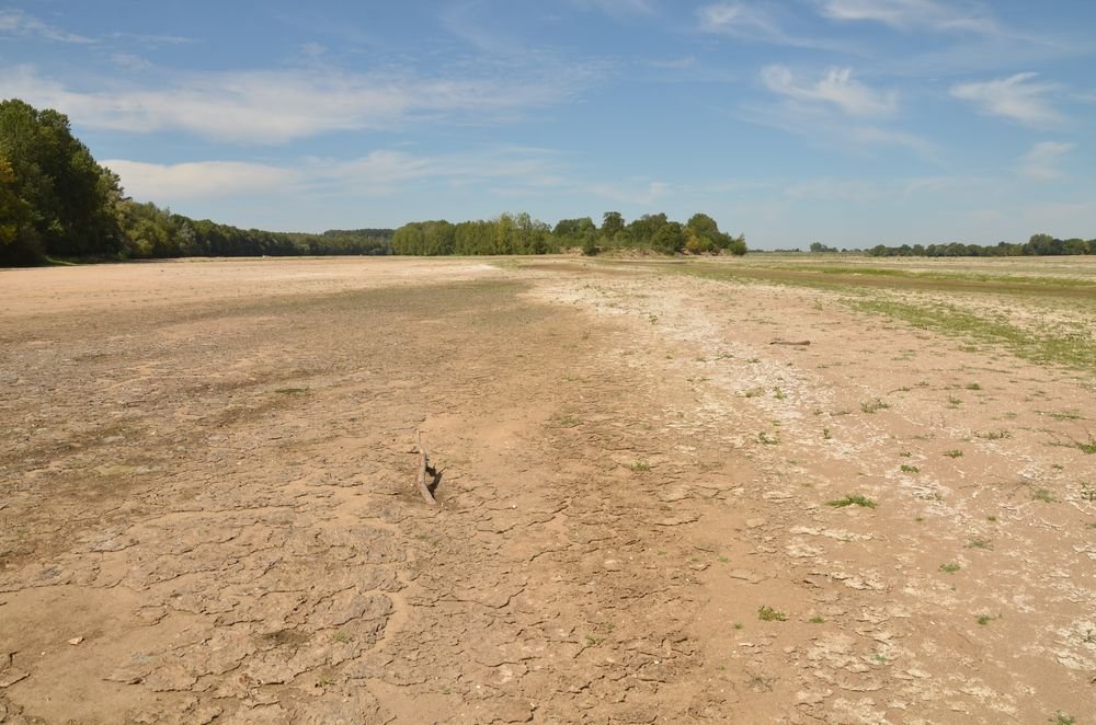 environs de la Loire entre Angers et Saumur (2).JPG