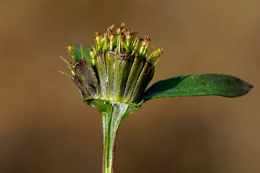 _DSC2969-copie.jpg