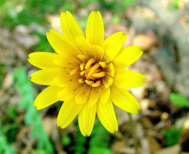 0904 005.jpg