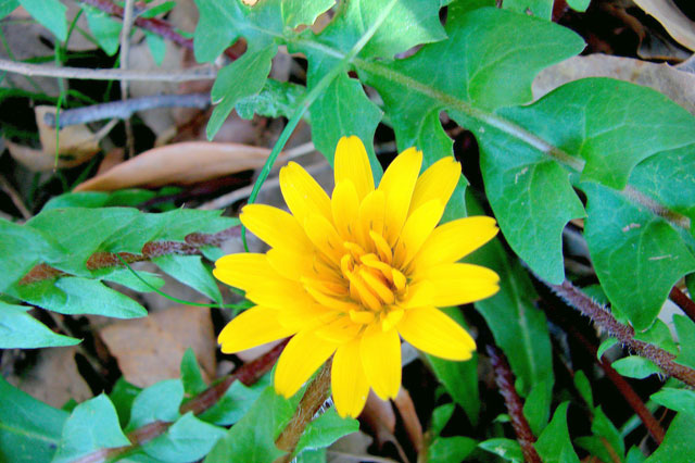 0904 007.jpg