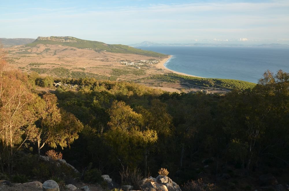 environs de Bolonia.JPG