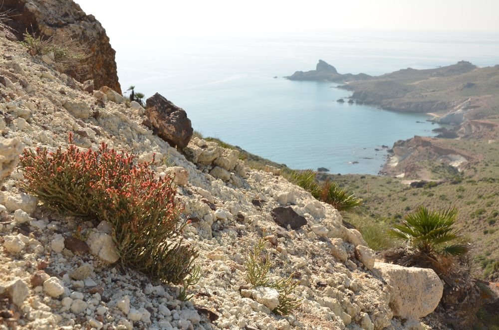 Cabo de Gata.JPG