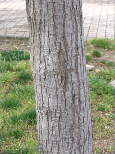 Copie de Varsavril2009 007.jpg