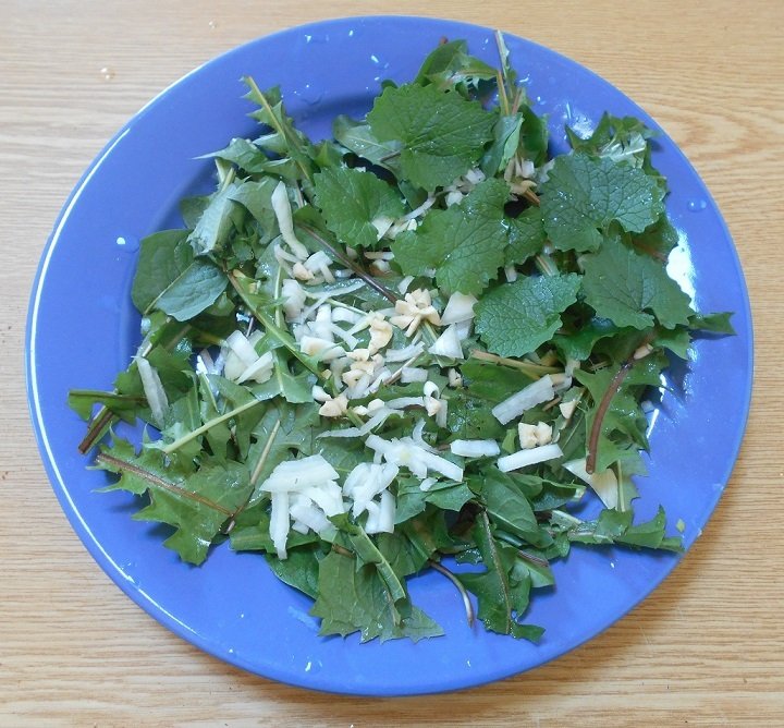 Salade.jpg