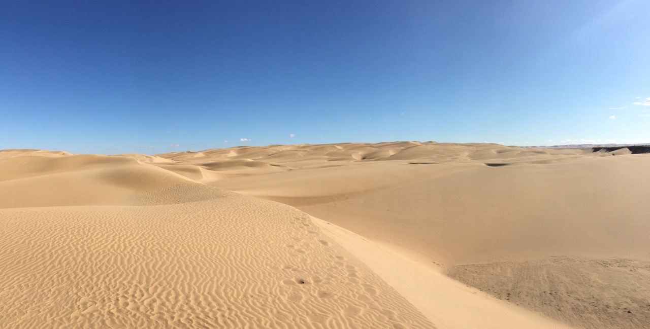 dune parc .jpg