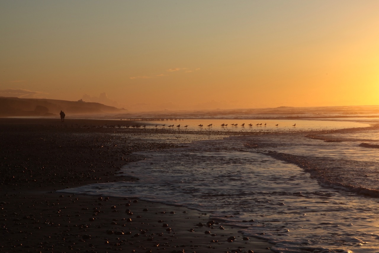 Tamri plage .jpg