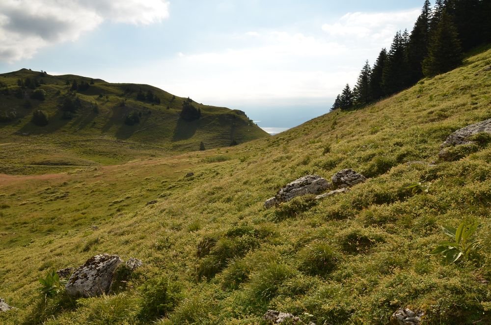 du col de la Faucille vers le Grand Montrond.JPG