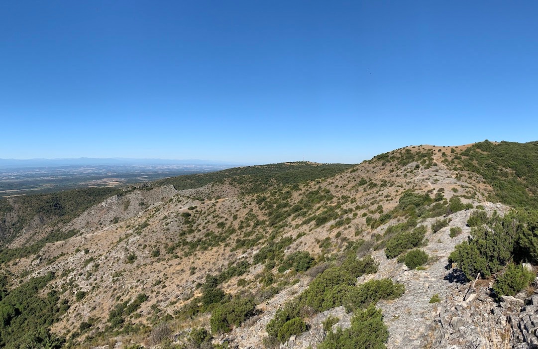 en fond les Pyrénées