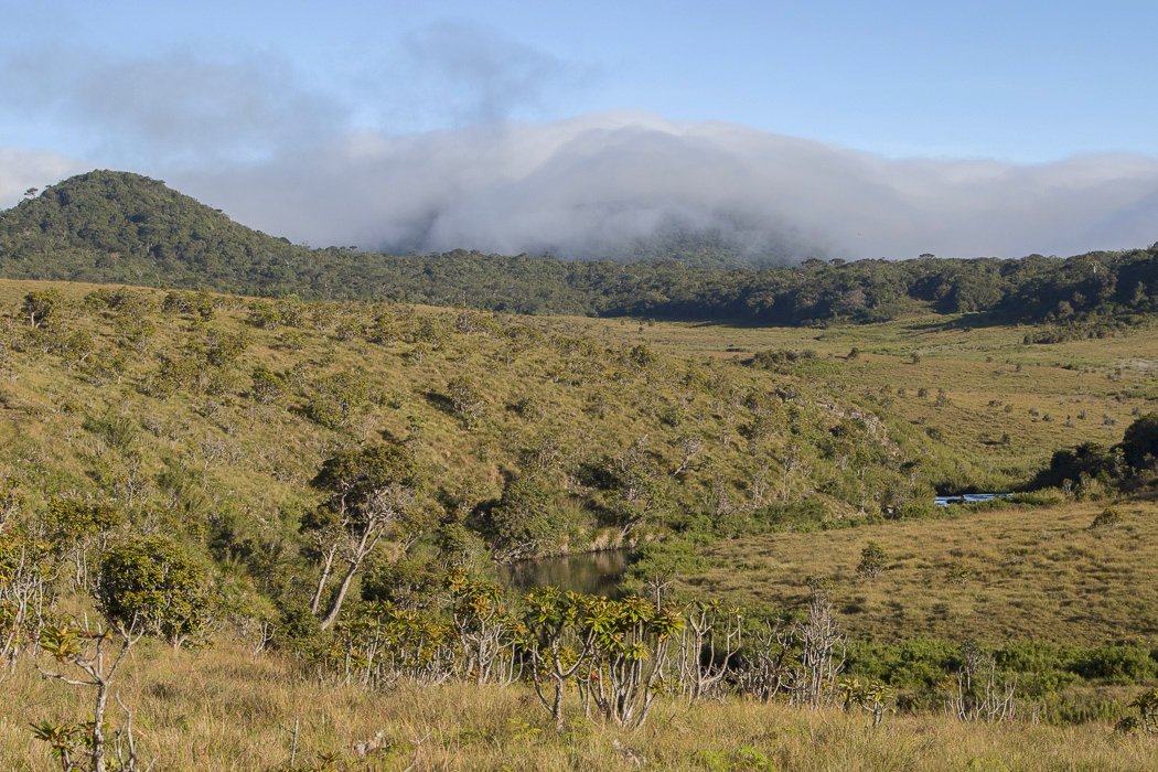 Horton-Plains1c.JPG