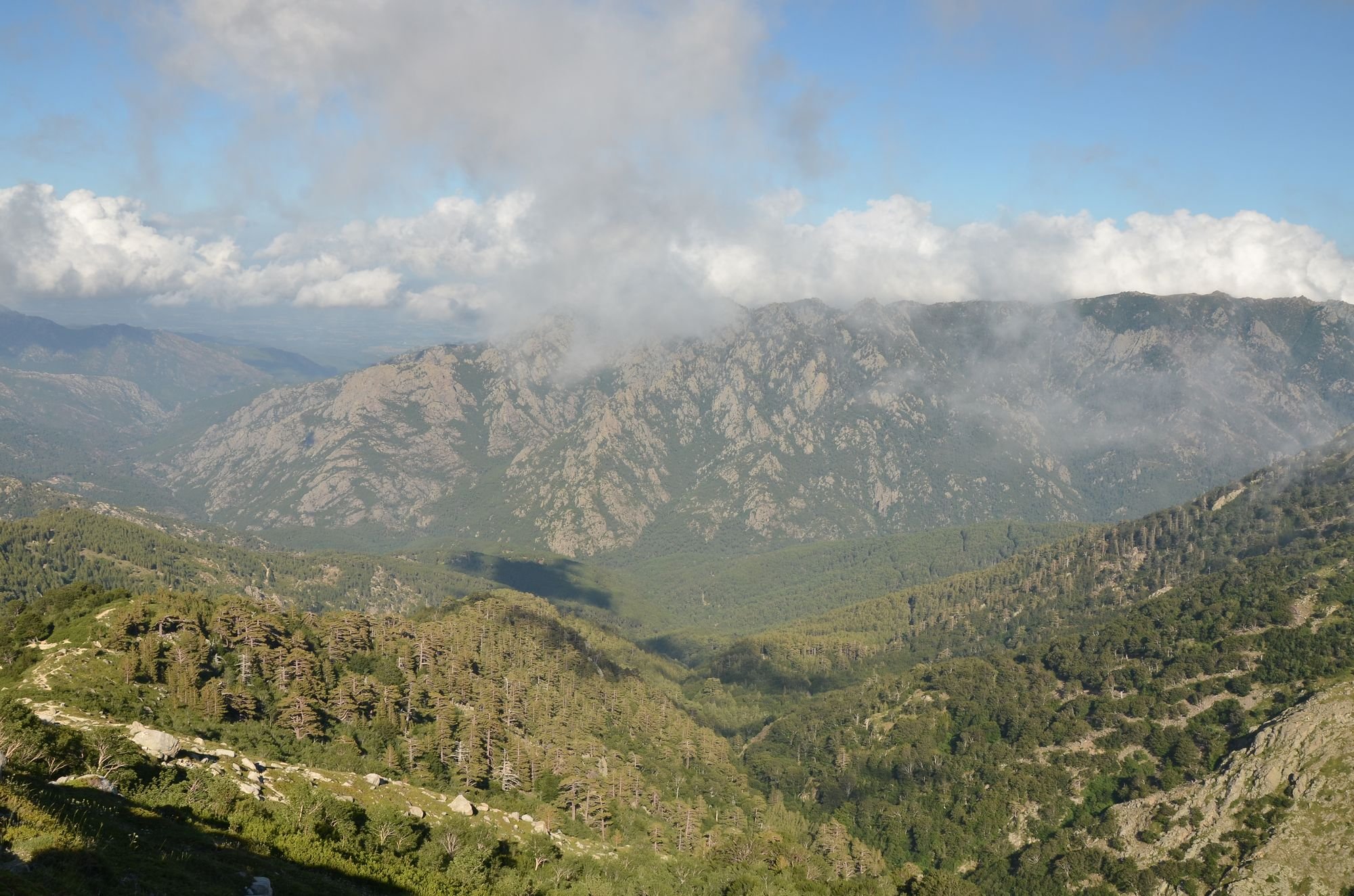 environs du Monte Renoso (1).JPG