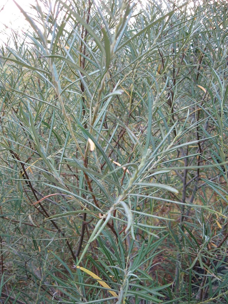 image 2.jpg