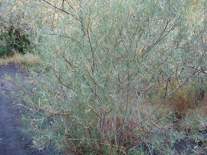 image 3.jpg