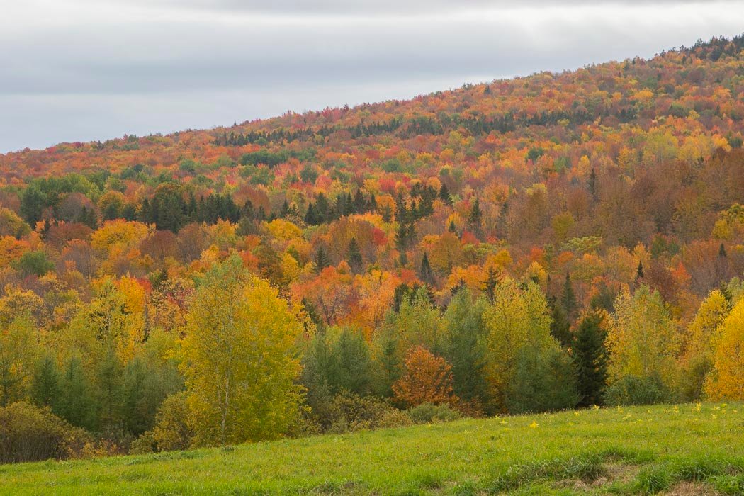 Quebec octobre 2021.jpg