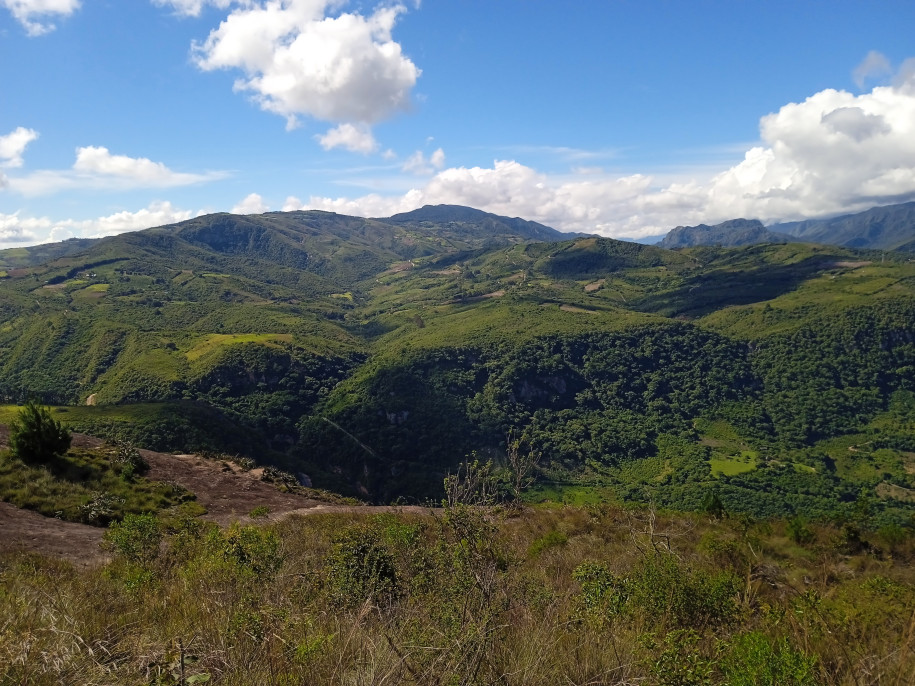 Le yungas à perte de vue