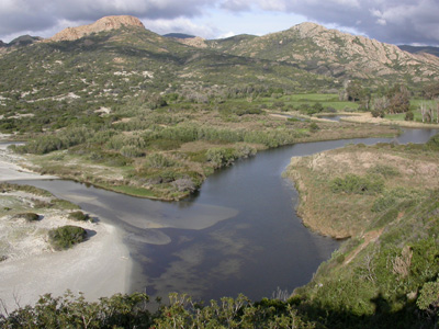 ostriconi près de l'embouchure 1.jpg