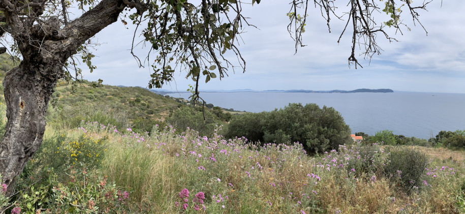 vue sur la presqu'ile de giens