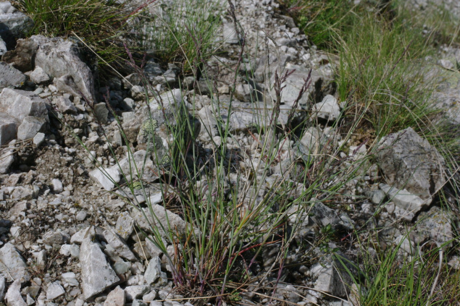IMGP3423.JPG