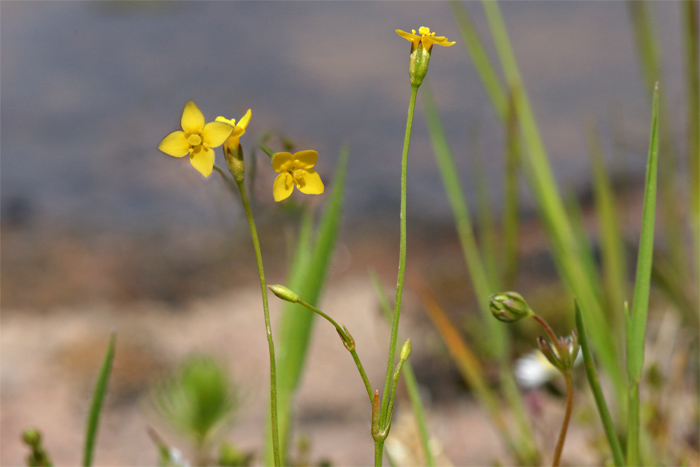 cf00418.jpg