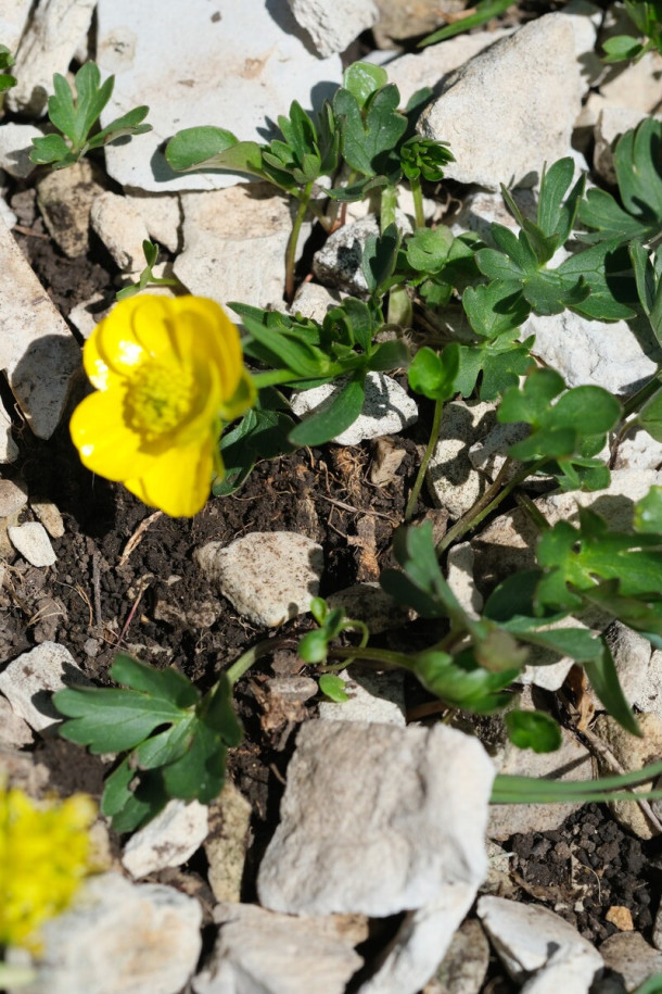 DSCF3408_forum.jpg