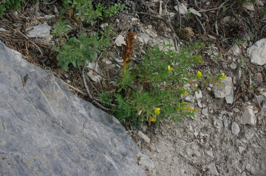 IMGP2891.JPG