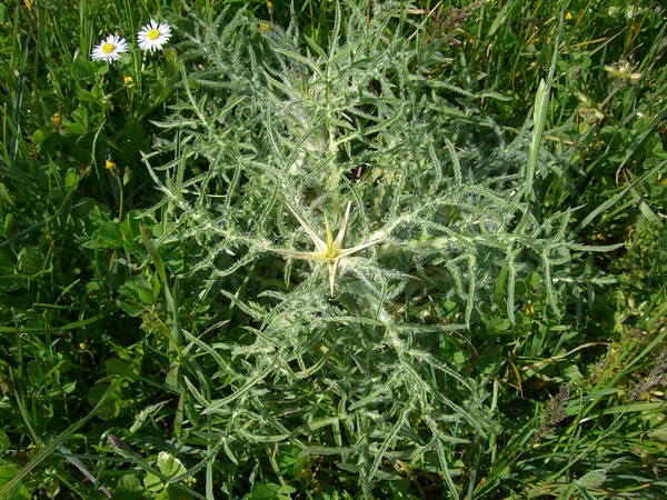 photo1.JPG
